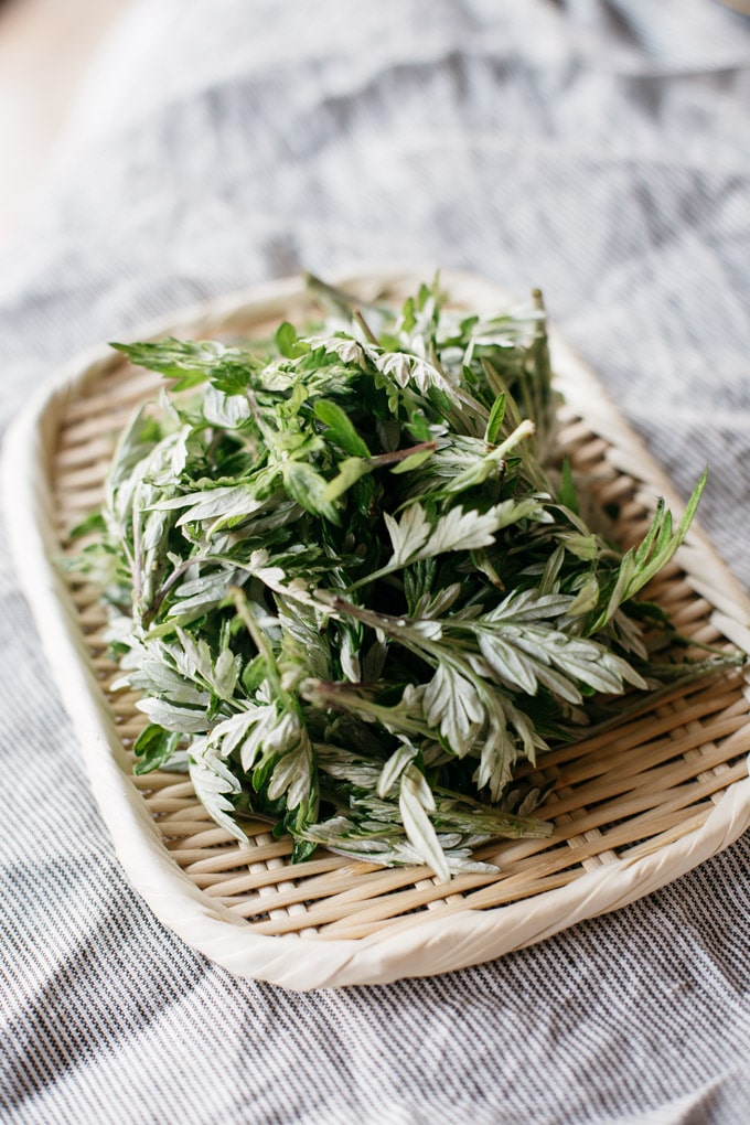 mugwort - yomogi